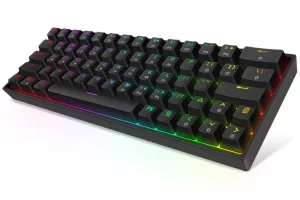 GK64 - RGB (Gateron Mechanical Switches)