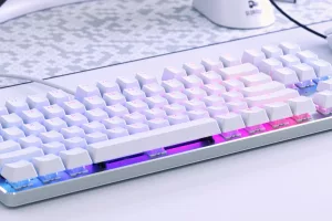 Glorious GMMK White ICE Edition