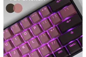 PBT Double Shot Keycap - Lavender / Chocolate