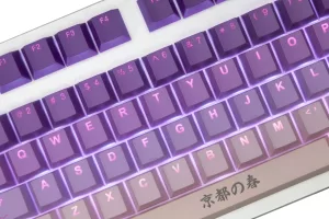 PBT Double Shot Keycap - Spring in Kyoto