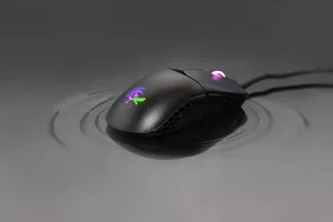 Ducky Feather