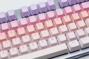 PBT Double Shot Keycap - Sakura Michi