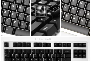 ABS Double Shot Keycap - White on Black(WoB)