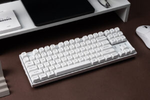 Arion Frost x Keychron K8 Pro