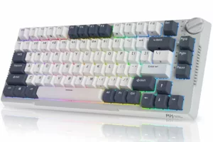 Royal Kludge RK H81