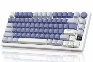 Royal Kludge RK M75