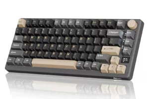 Royal Kludge RK M75 Phantom