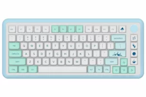 Iceberg PBT Keycap