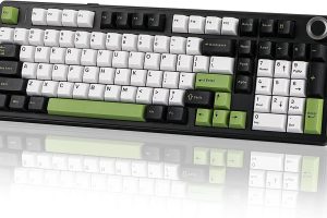 Aula F99 Pro Wireless