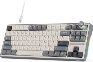 Royal Kludge RK R87 PRO