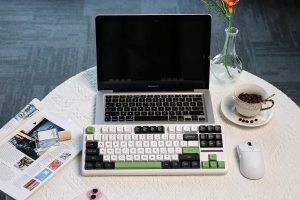 Aula F87 Pro Wireless