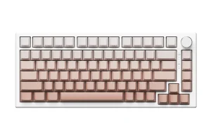VGN A75